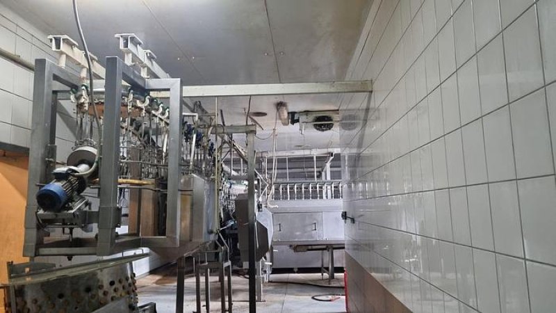 Poultry slaughter line, 2.500 bph