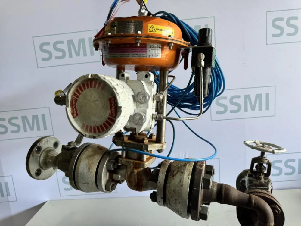 2021 Rotork / North American Pneumatic control valve actuator with digital positioner