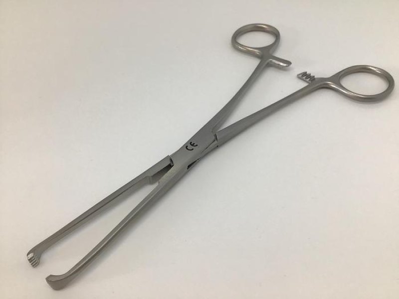 Allis Tissue Forcep 5 in 6 Teeth 180mm