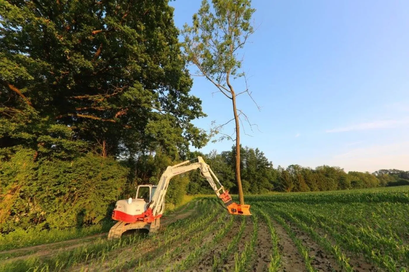 Westtech - Woodcracker CL 260 - 6