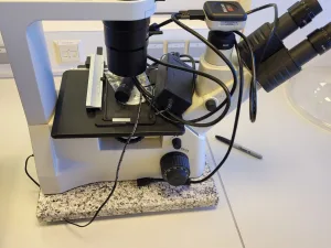 2427 - Used Motic AE2000 TRI Microscope with Moticam 5.0 MP Camera