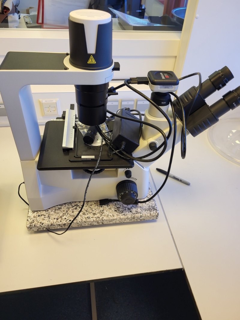 2427 - Used Motic AE2000 TRI Microscope with Moticam 5.0 MP Camera