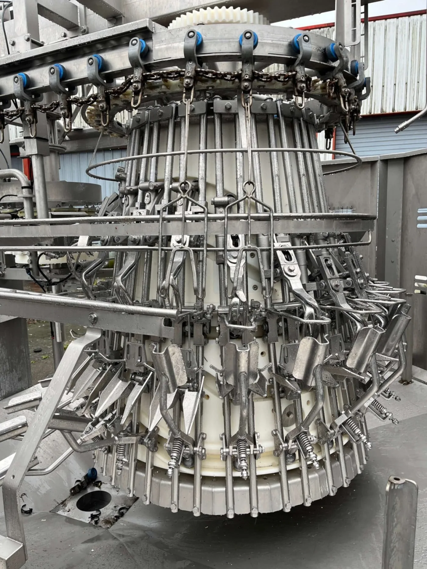 Eviscerator, Stork, Nuova - 6
