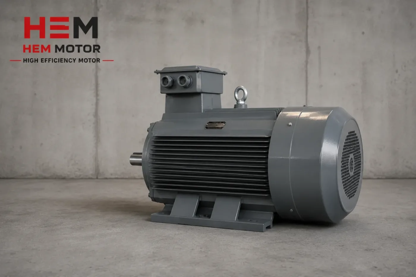 IE3 Premium Efficiency Electric Motors - 1