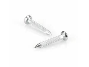 Clavos MYZOX (2.5 cm) – 100 unidades