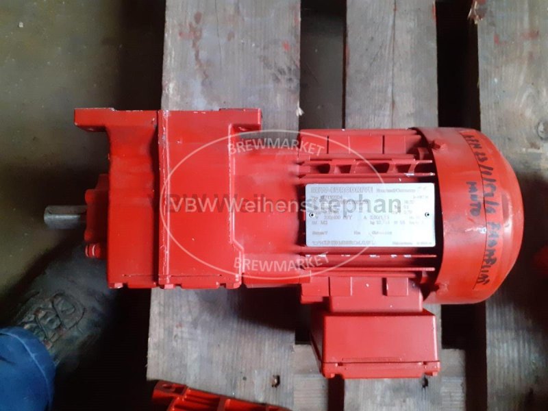Motor