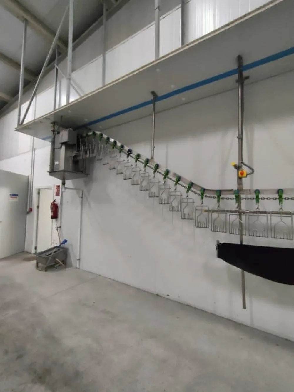 Poultry line, Bayle, 1.500 bph
