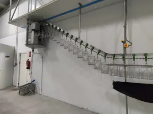 Poultry line, Bayle, 1.500 bph