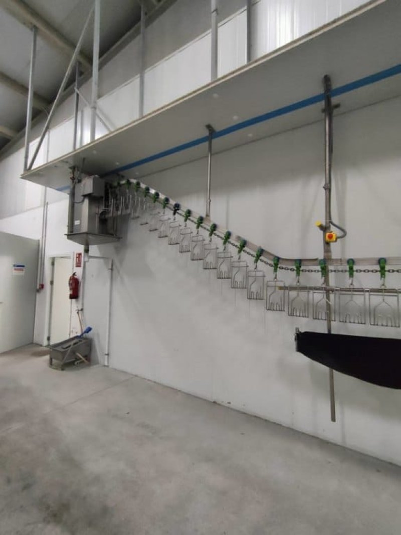 Poultry line, Bayle, 1.500 bph