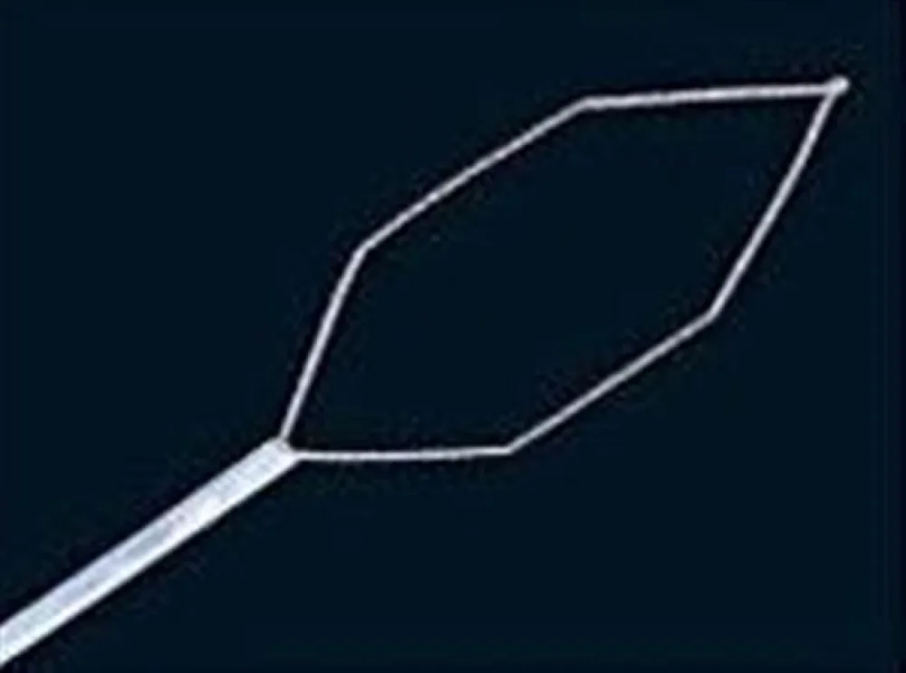 hex electrosurgical snare - 1600 x 2.4 mm
