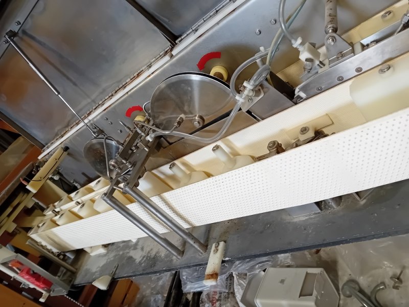 Pisces FR9000 Filleting Machine