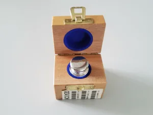 Mettler Toledo 100g - F1 (15866)