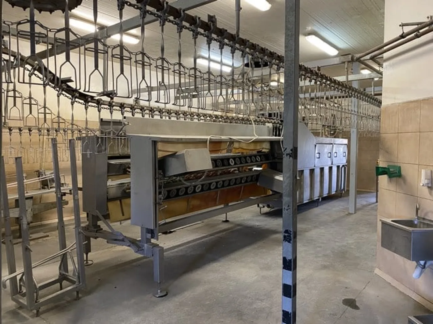 Poultry slaughter line, 2.000 bph - 5