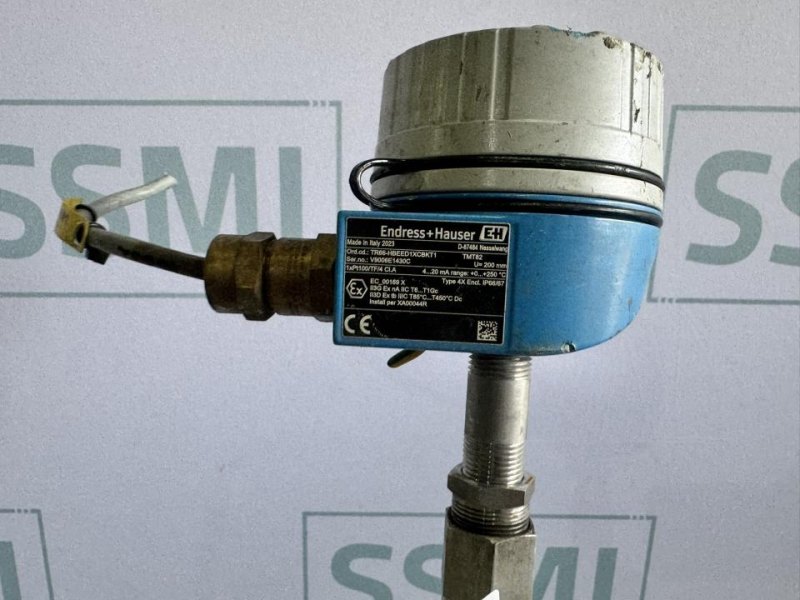 2023 Endress+Hauser Temperature transmitter / RTD thermometer