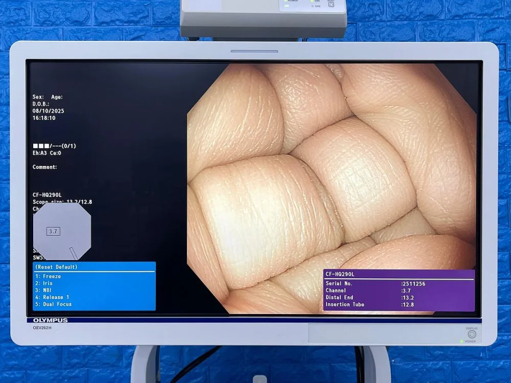 Olympus CF-HQ290L Colonoscope