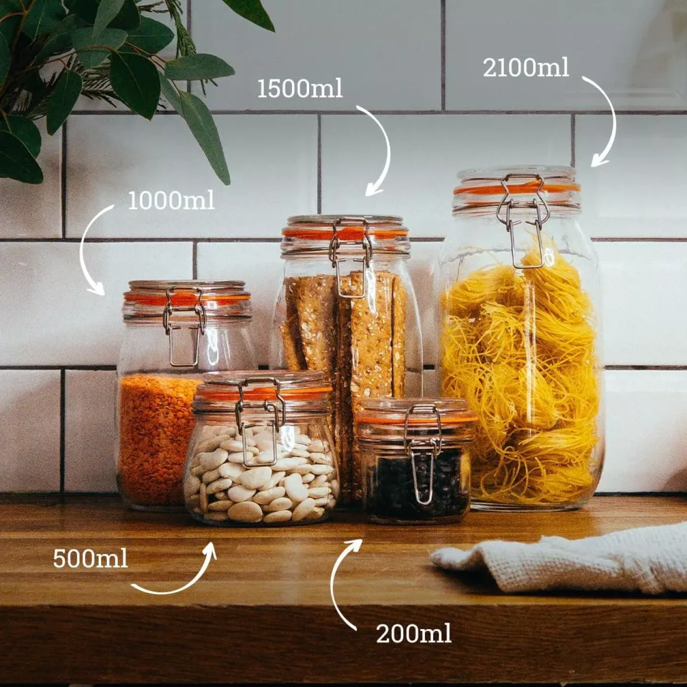 Tala Lever Arm Jar – 2100 ml (4.63 lb) Capacity, Pack of 6 - islandcatering - 2