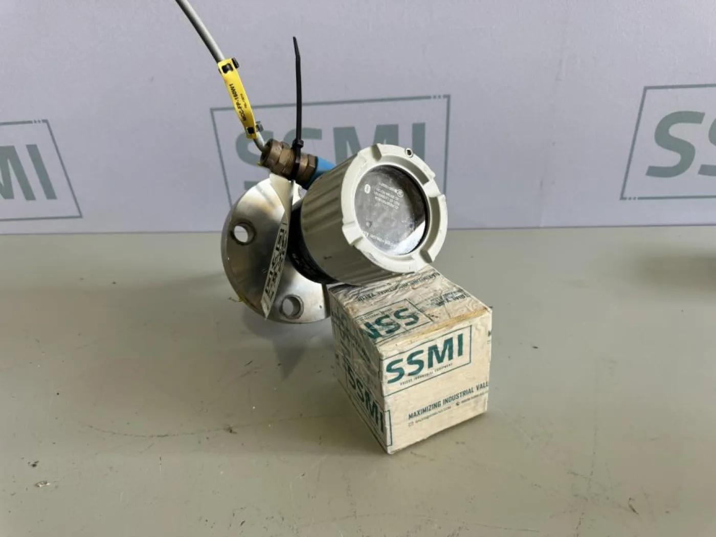 2020 Endress+Hauser Vibrating fork level switch - 3