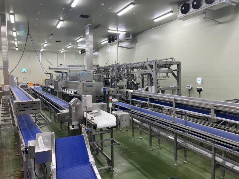 Cut-up and deboning line, Foodmate