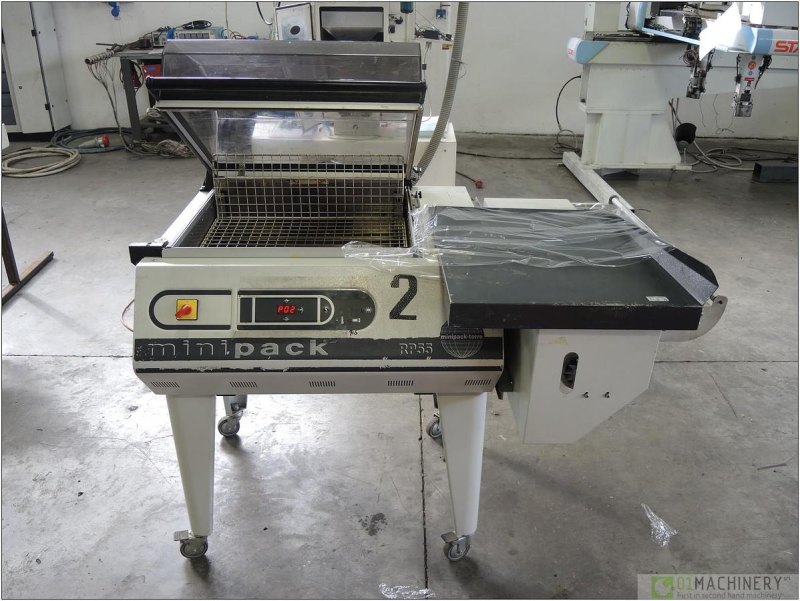 2009 RP 55 AI0171