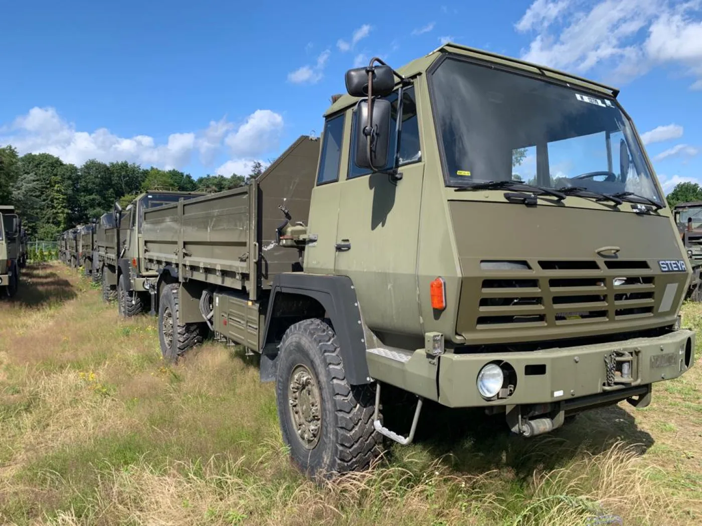 Steyr 1491.310/S37 4x4 Cargo - 1