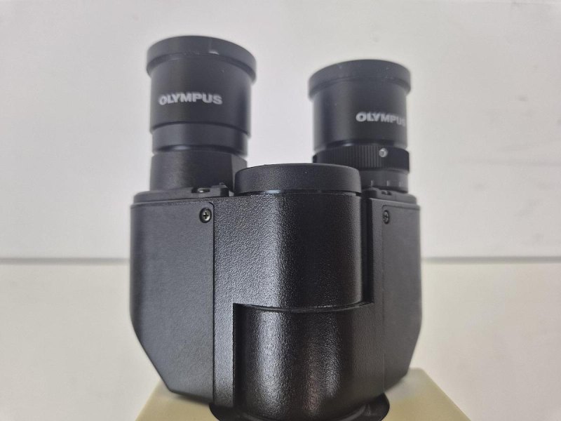 Olympus CX31RBSF Microscope