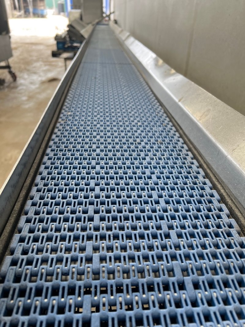 Conveyor 5.3m Long x 220mm