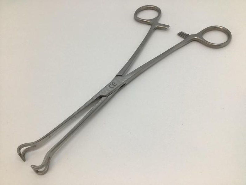 Babcock Forcep Straight 200mm
