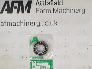 Spearhead Flail Head Roller Bearing - 0600111