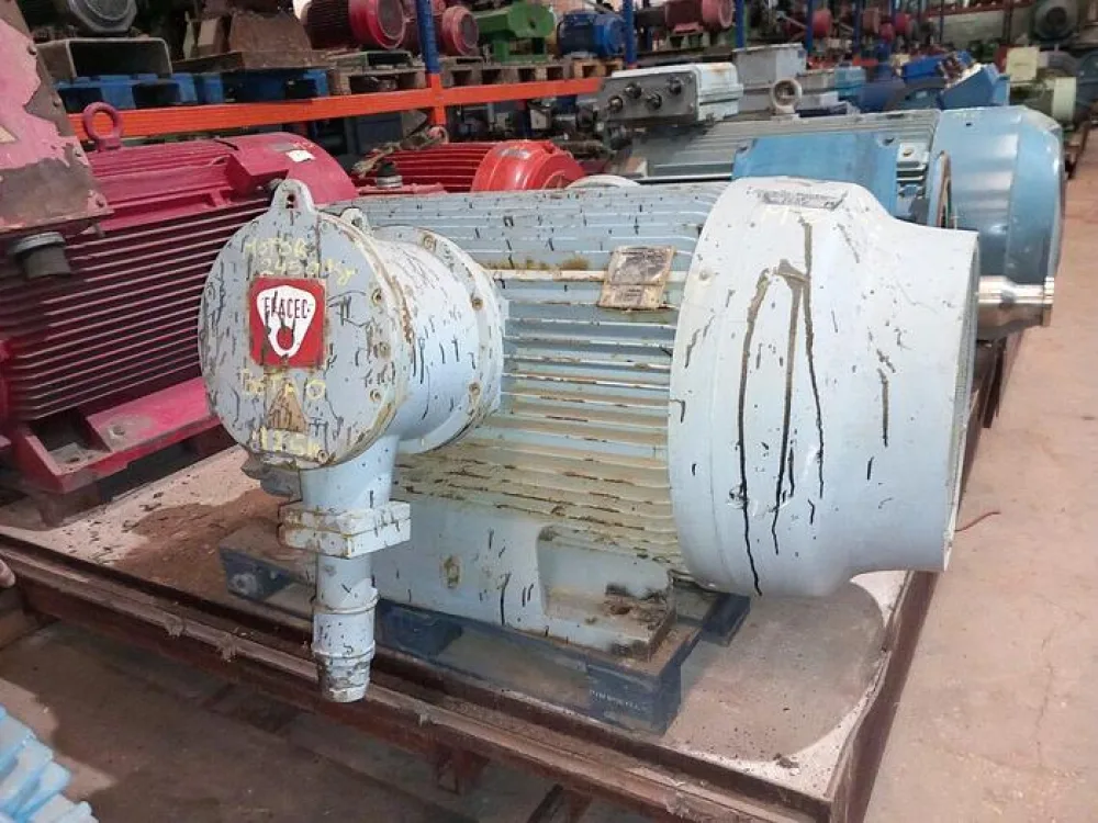 Motor EFACEC 300kW