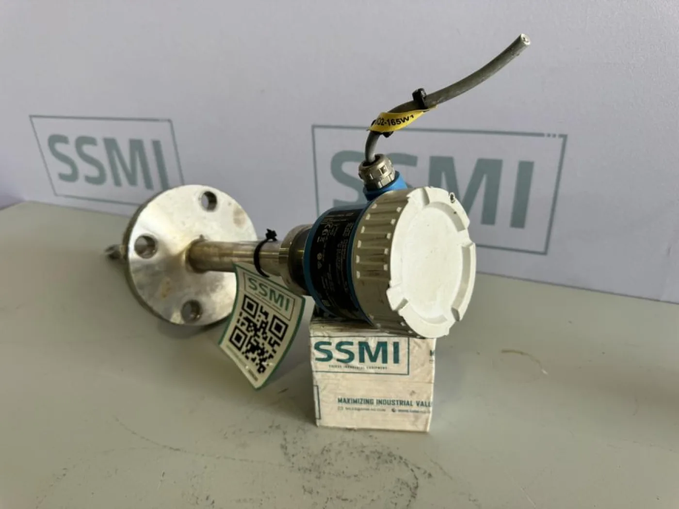 2022 Endress+Hauser Point level switch - 2