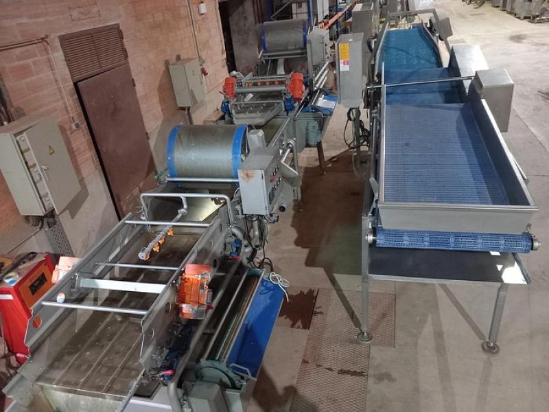 Linha de preparação de legumes LEADING LD-OX-400