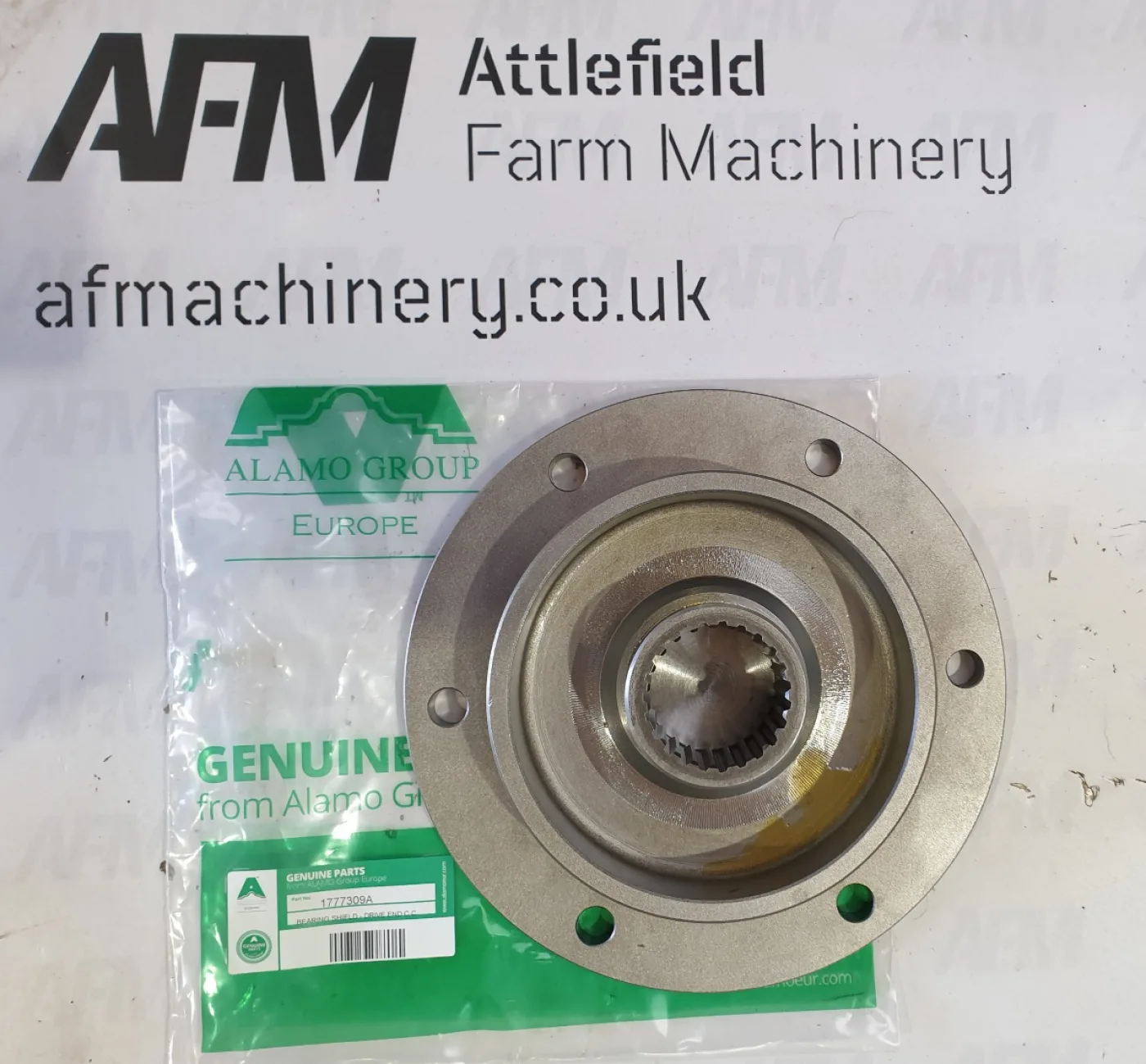 Spearhead Bearing Shield - 1777309A - 1