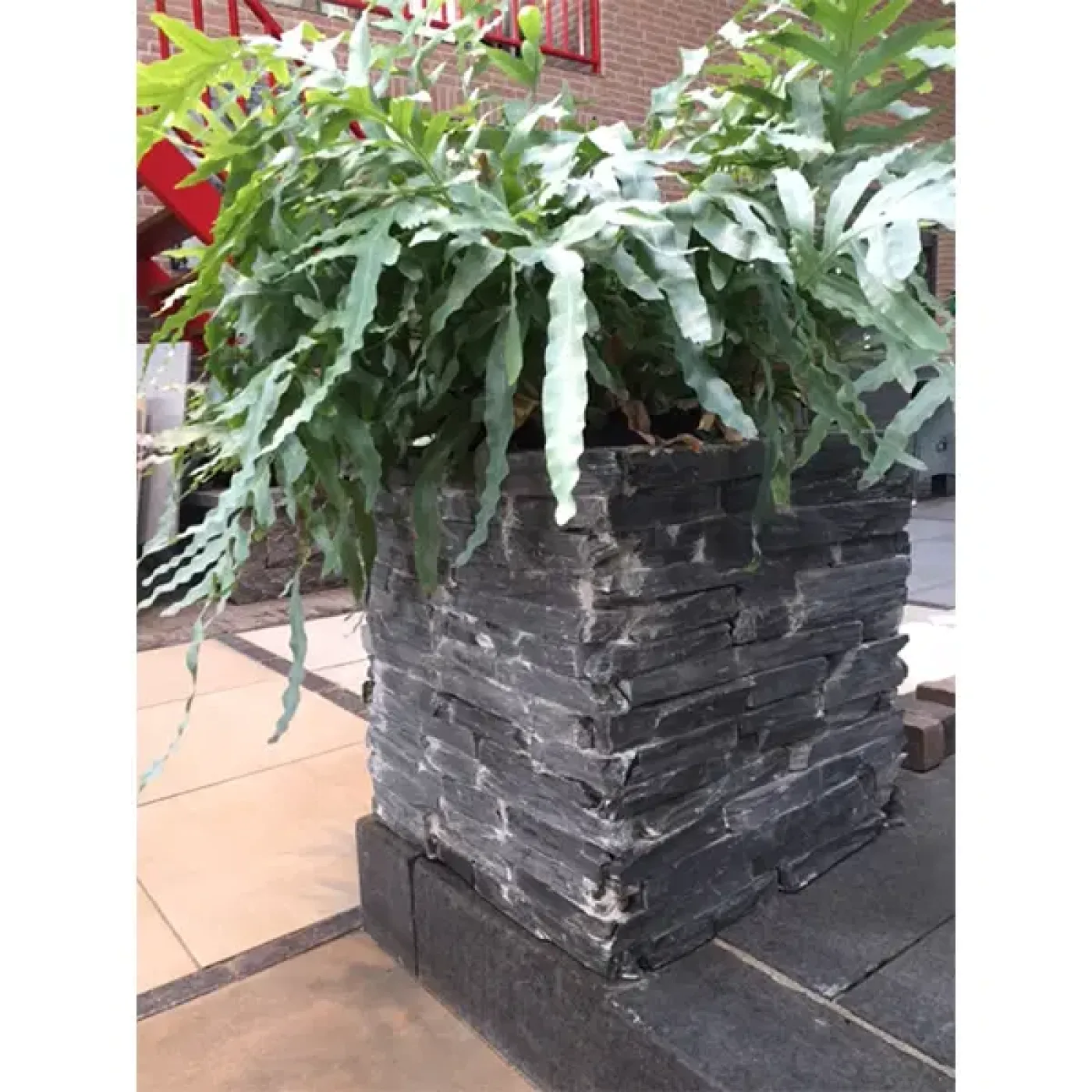 Supreme Slate bloembak 50x50x50 cm. recht - 1