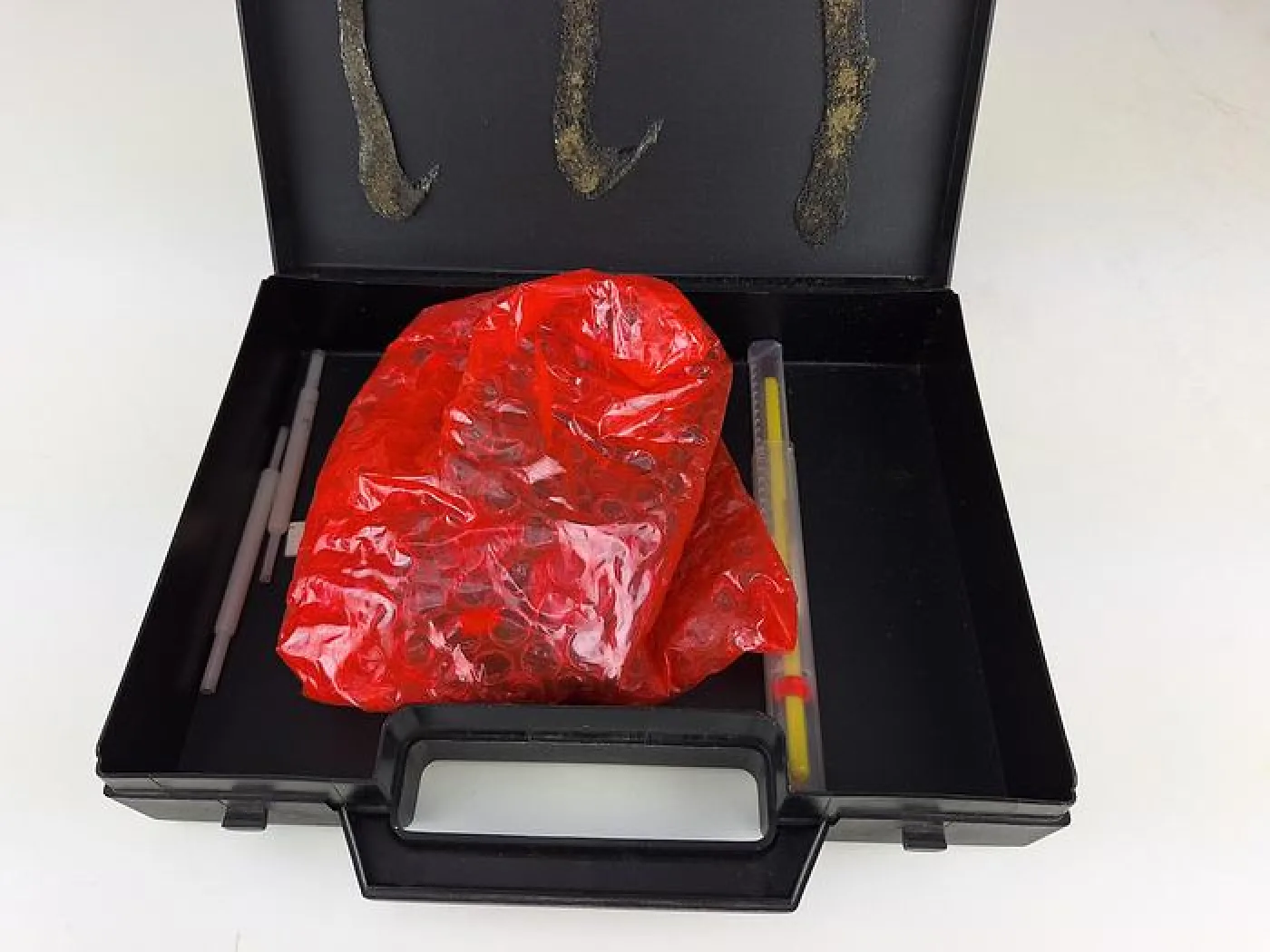 Lion Mark II Formaldemeter - 4