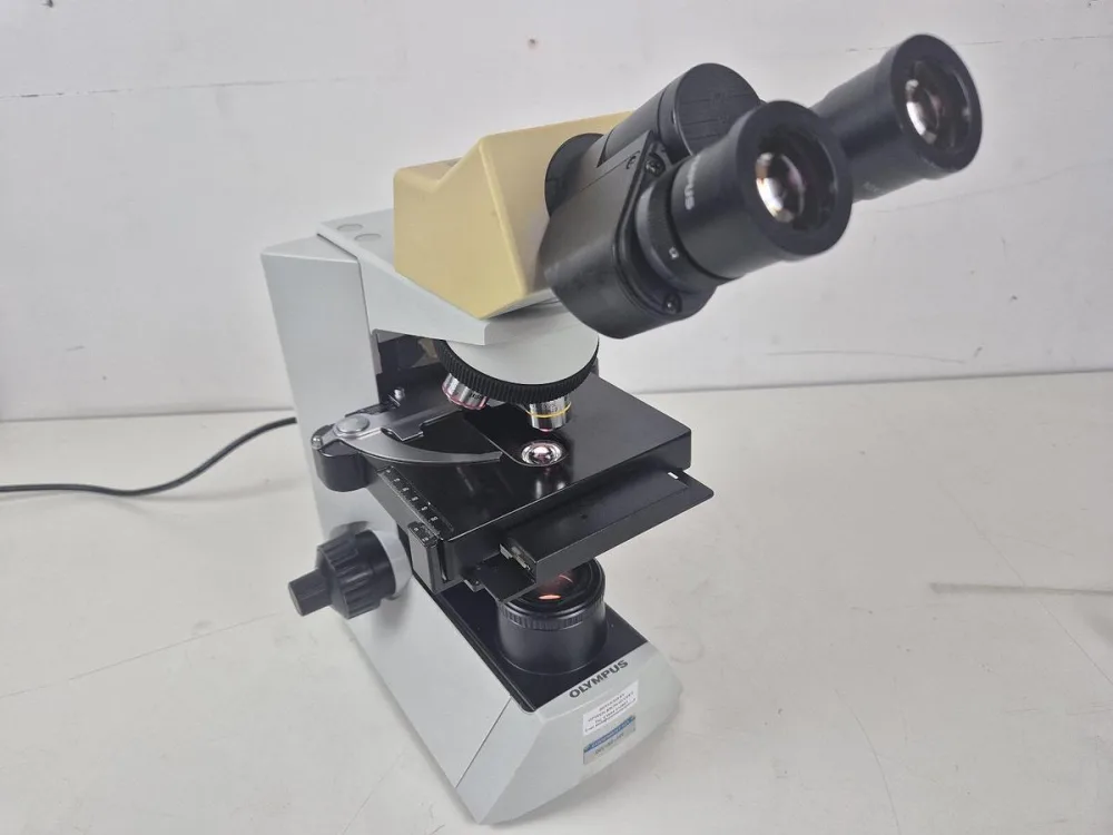 Olympus CX31RBSF Microscope