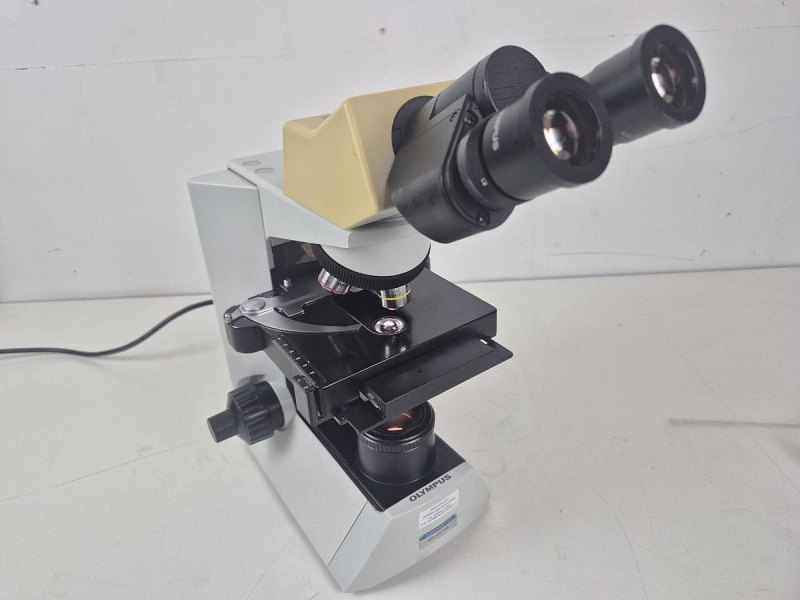 Olympus CX31RBSF Microscope