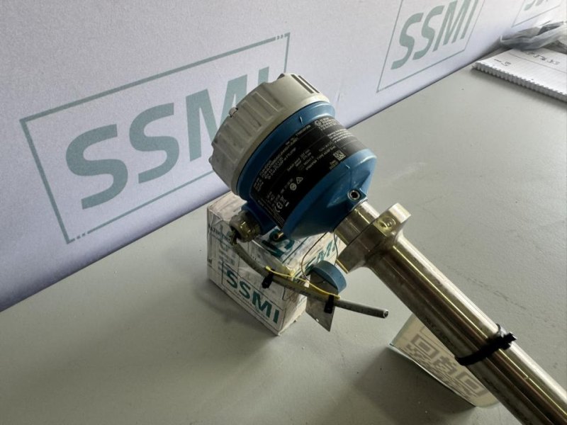 2020 Endress+Hauser Level Switch