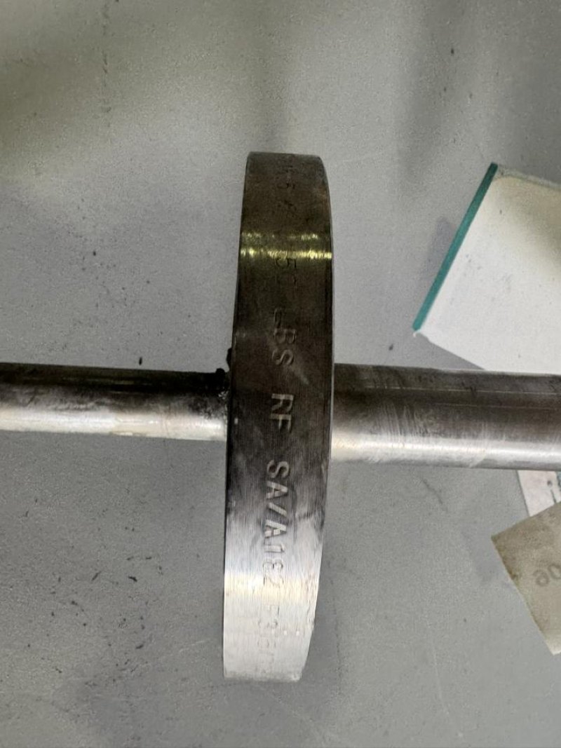 2019 Endress+Hauser Vibrating Level Switch