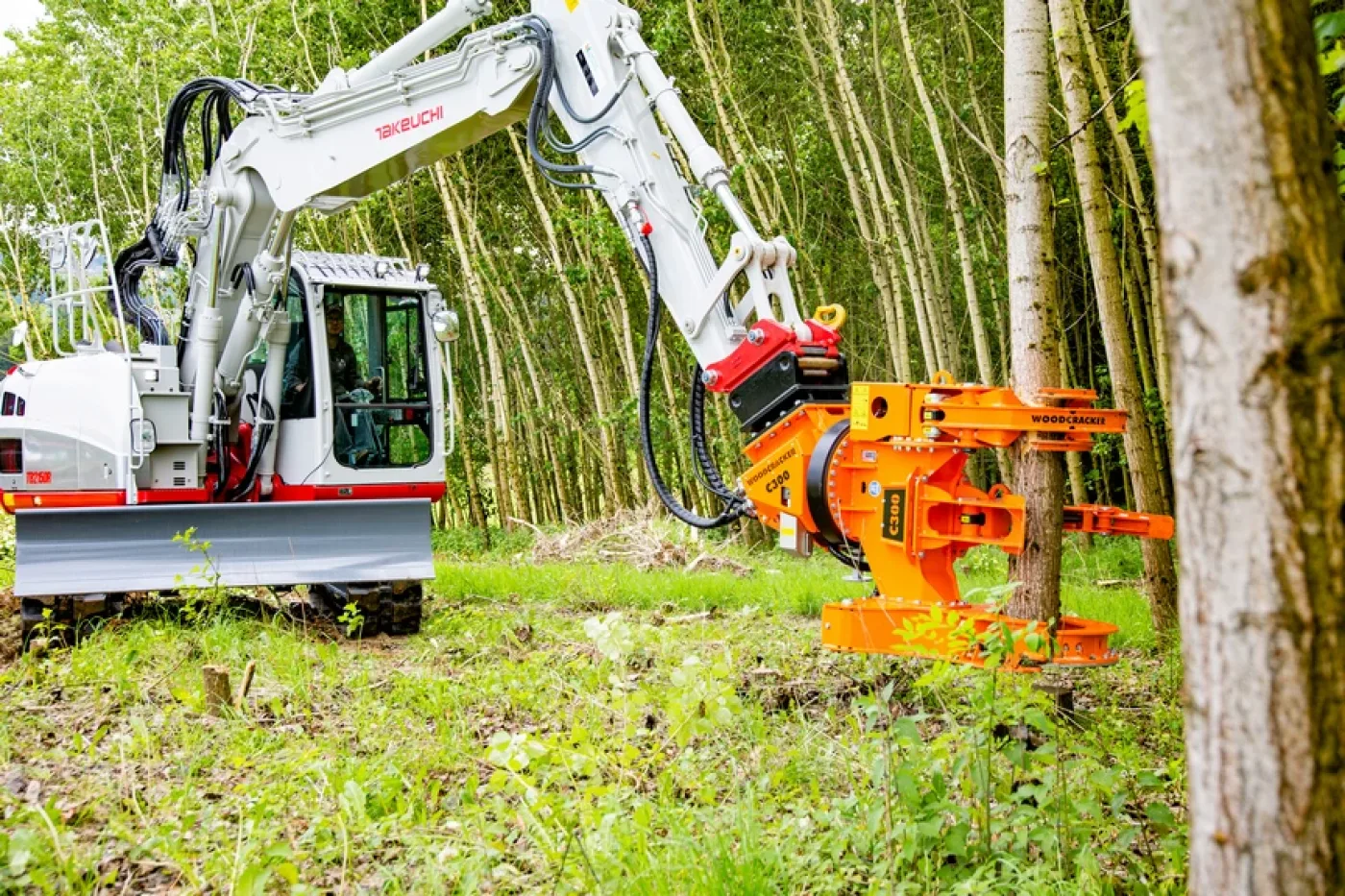 Westtech - Woodcracker C 300 - 1
