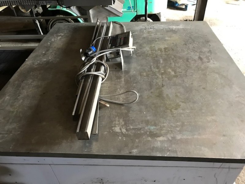 Platform Scale