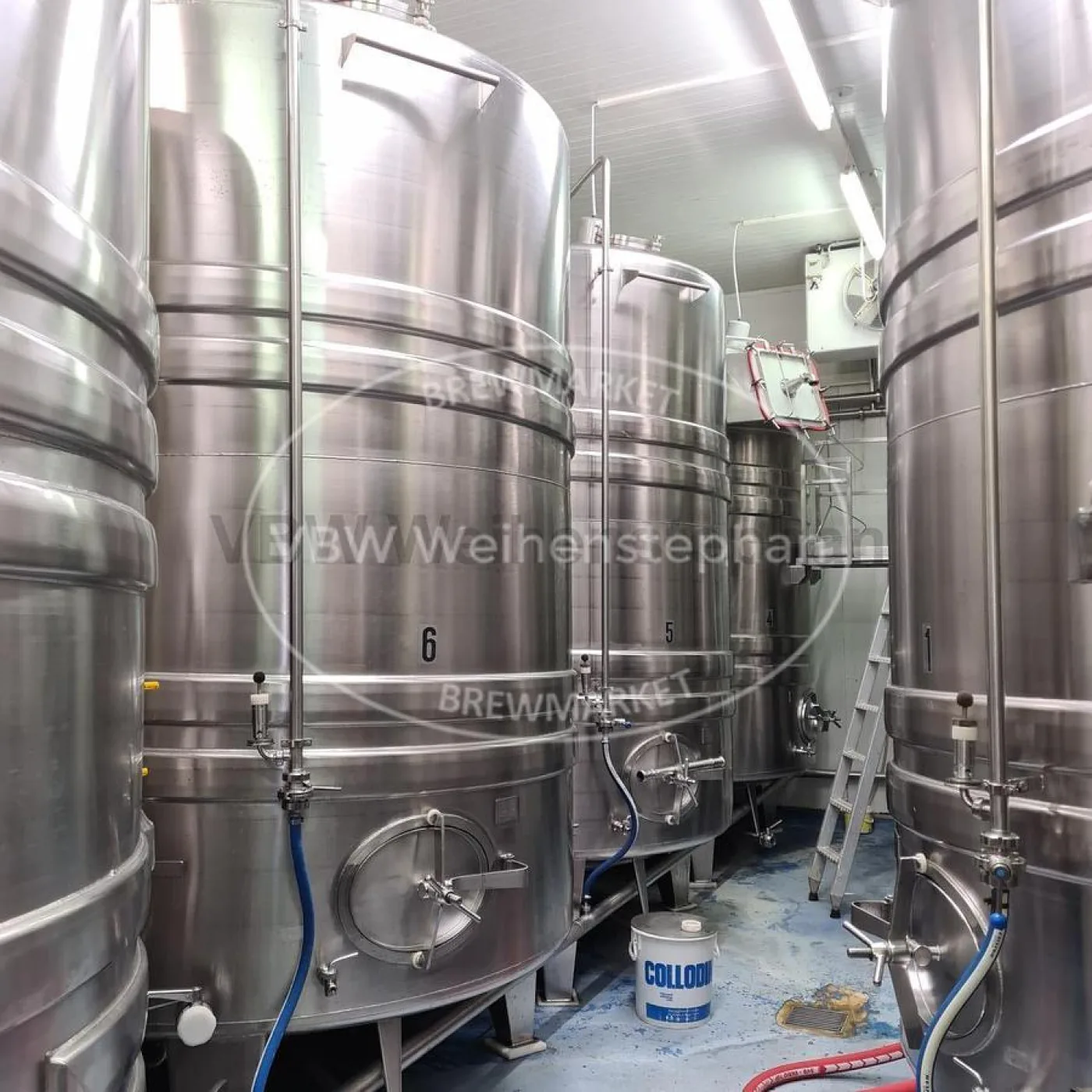 fermentation and storage cellar - 2