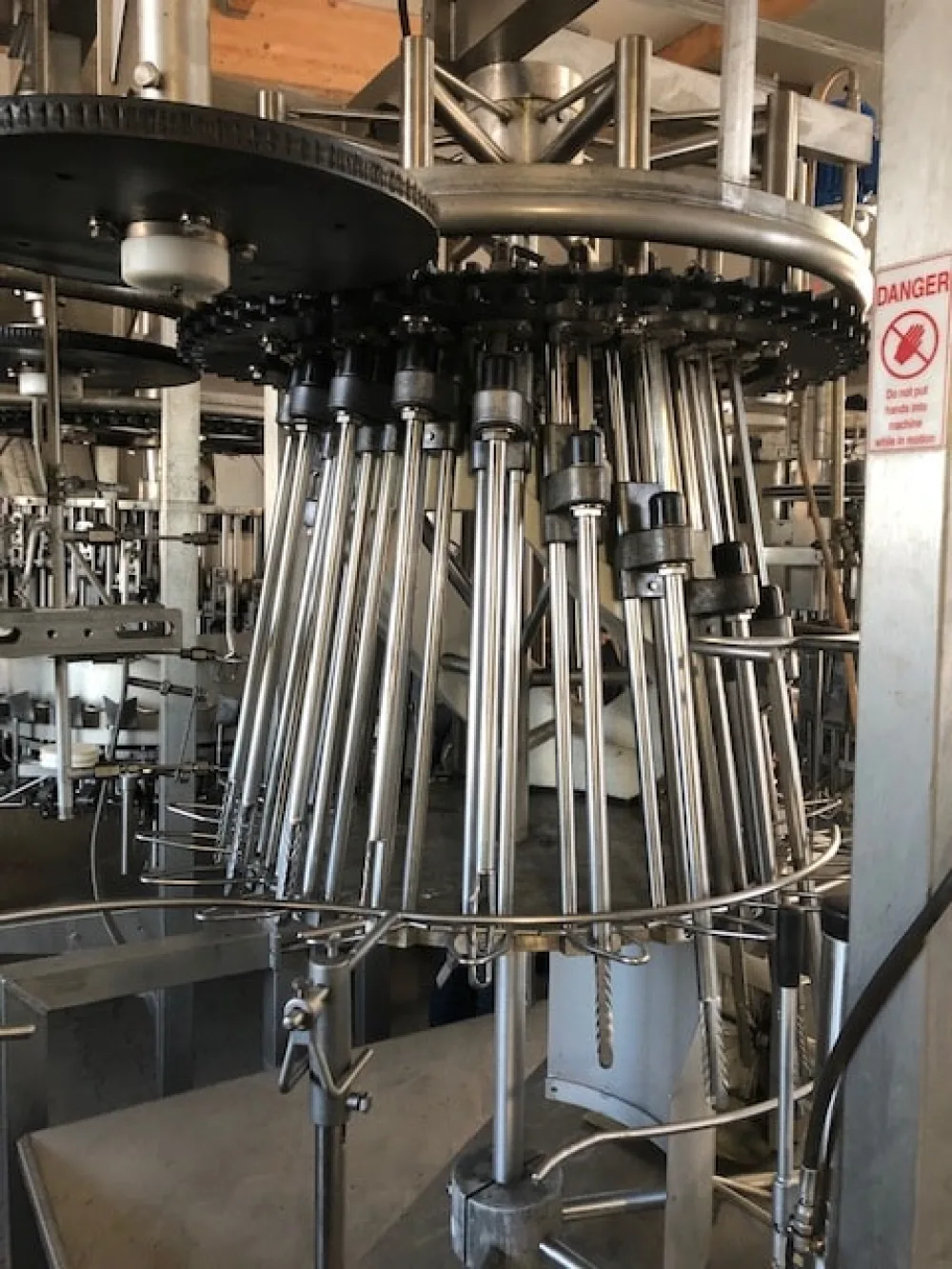 Evisceration line, Linco, 7.000 bph