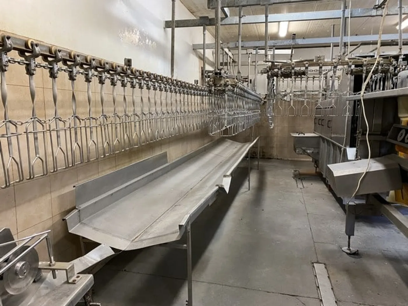 Poultry slaughter line, 2.000 bph - 2