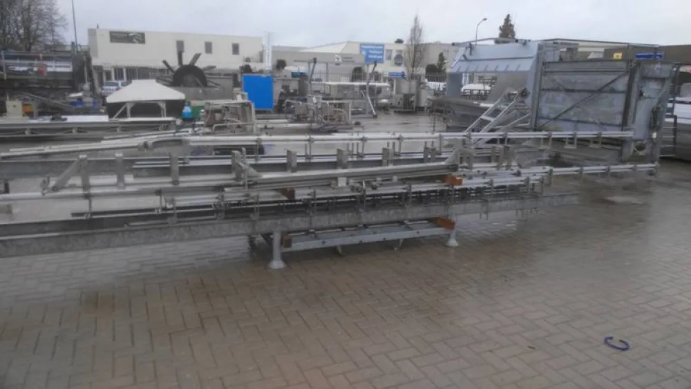 Bi-rail and walking beam conveyor