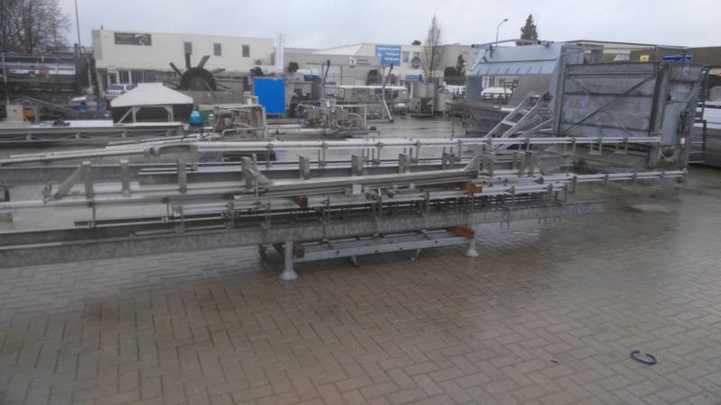 Bi-rail and walking beam conveyor