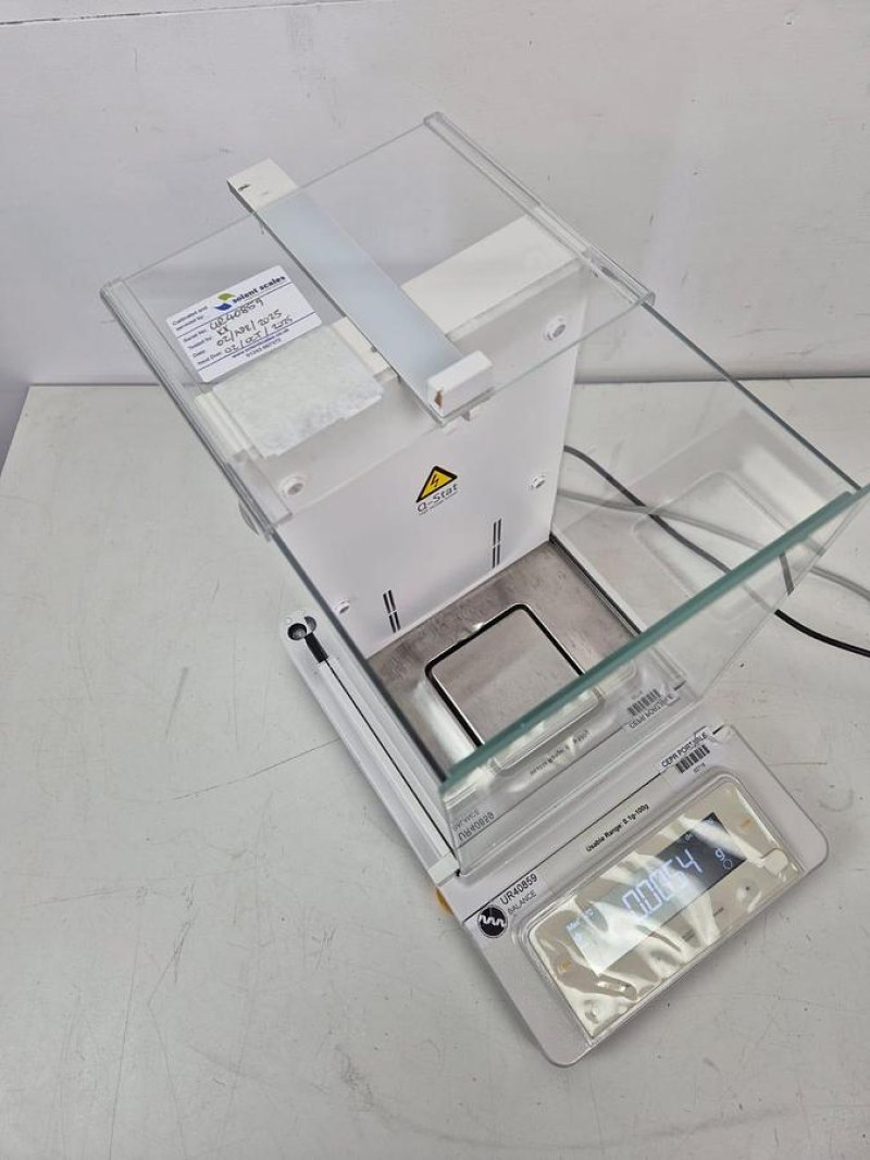 Sartorius MSE124S Solent Scales