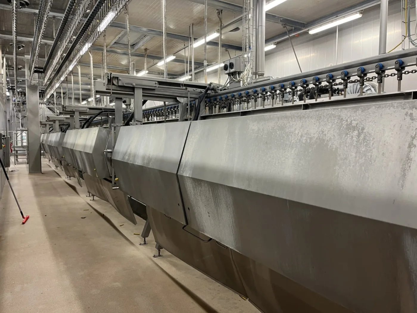 Poultry line, Stork, 10.000 bph - 6