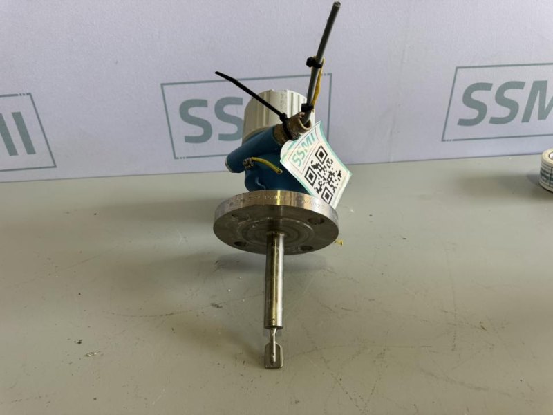 2020 Endress+Hauser Vibrating fork level switch