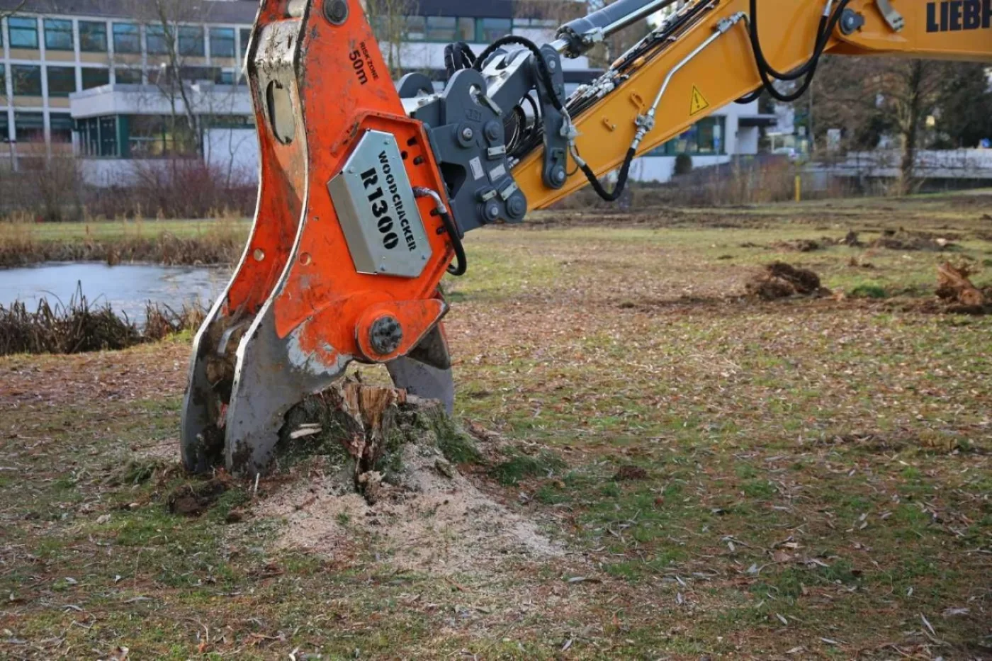 Westtech R900 R1300 Rodeschere Wurzelstock - 5