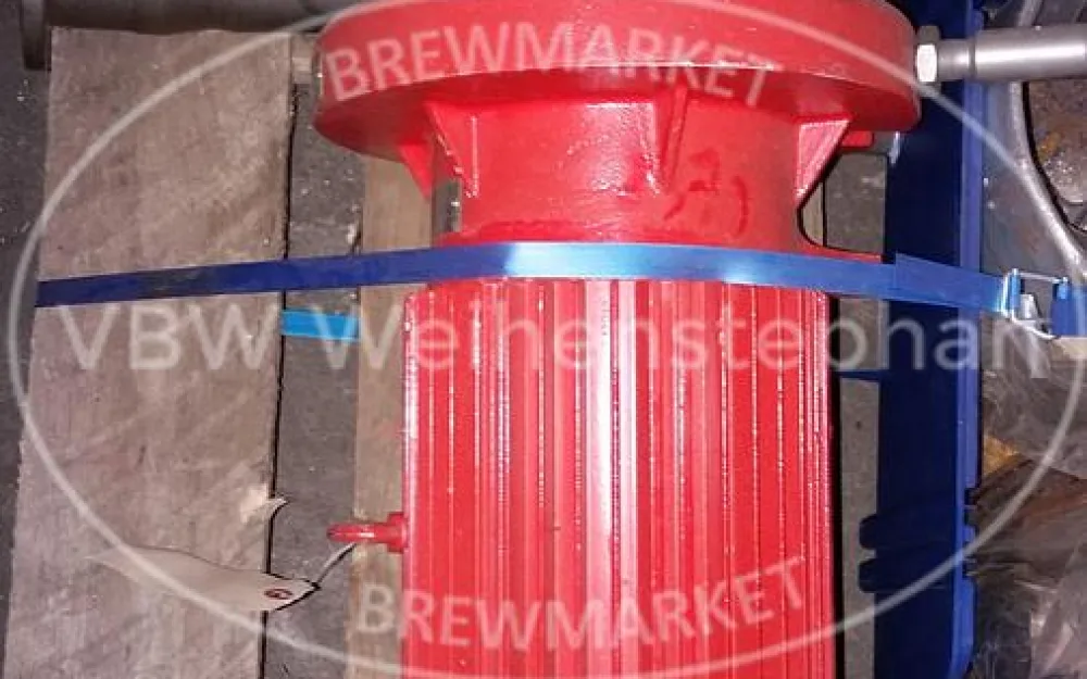 Electromotor